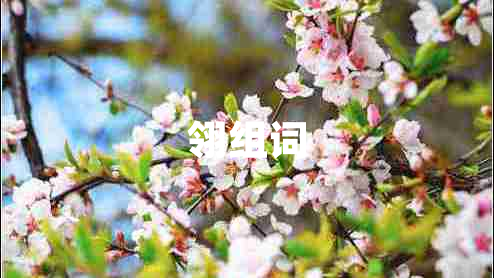 翎組詞