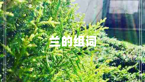 蘭的組詞
