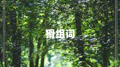 猾組詞