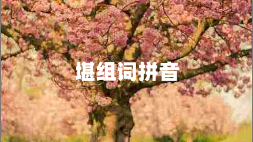 堪組詞拼音
