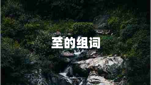 至的組詞