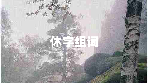 休字組詞