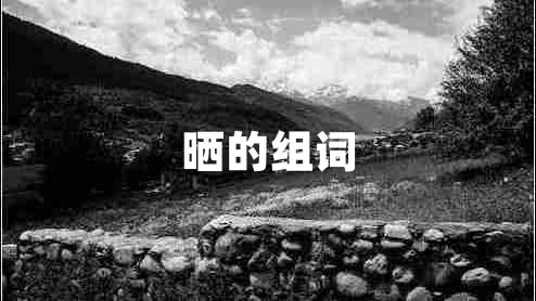 曬的組詞