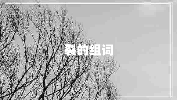 裂的組詞