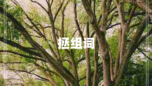 拯組詞