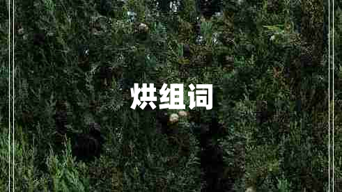 烘組詞