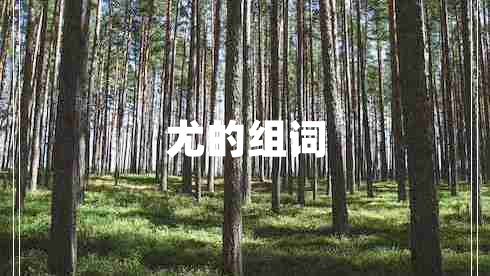 尤的組詞