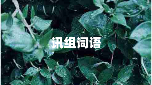 訊組詞語(yǔ)