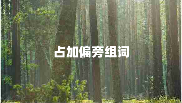 占加偏旁組詞