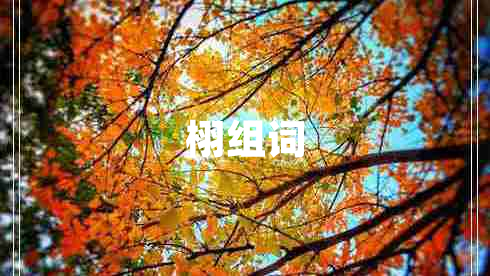栩組詞