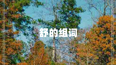 舒的組詞