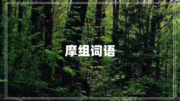 摩組詞語(yǔ)
