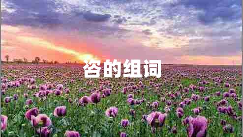 咨的組詞