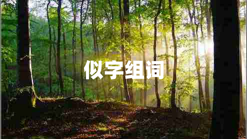 似字組詞
