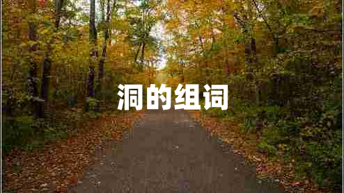 洞的組詞