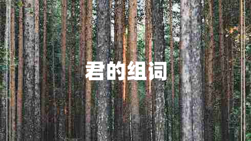 君的組詞