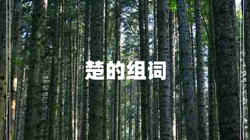 楚的組詞