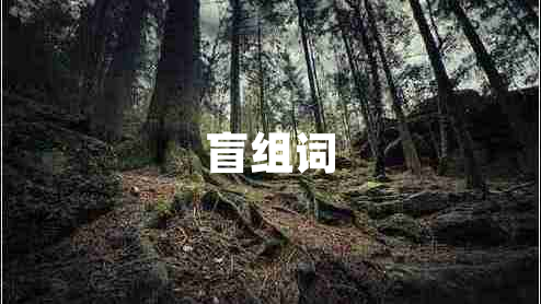 盲組詞