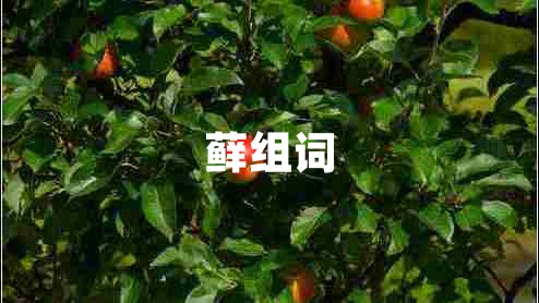 蘚組詞