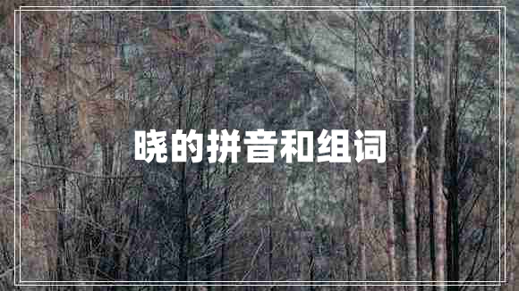 曉的拼音和組詞