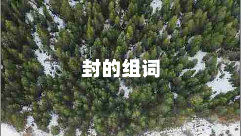 封的組詞