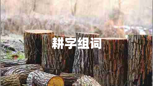 耕字組詞