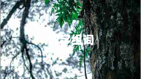 煙字組詞
