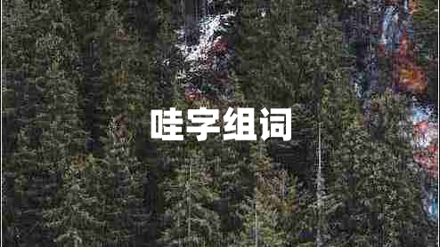 哇字組詞