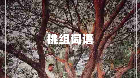 挑組詞語(yǔ)