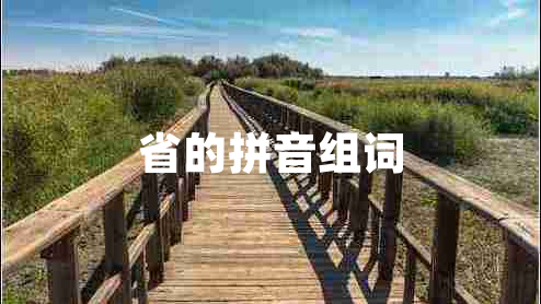省的拼音組詞