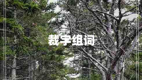 裁字組詞