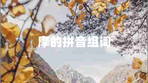 摩的拼音組詞
