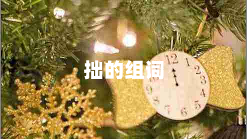 拙的組詞