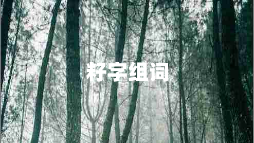 籽字組詞