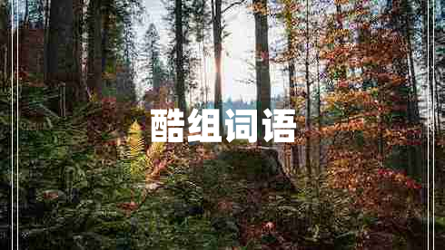 酷組詞語(yǔ)