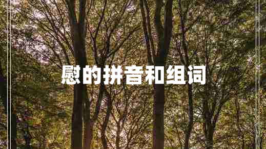 慰的拼音和組詞