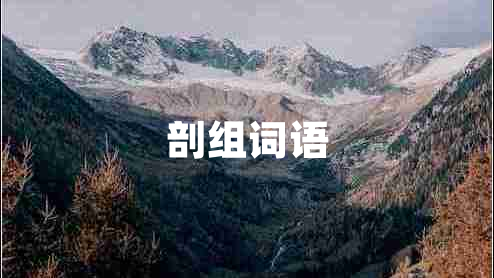 剖組詞語(yǔ)