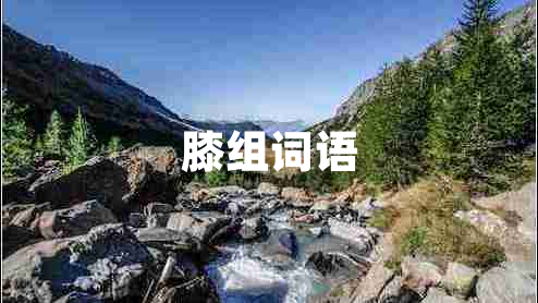 膝組詞語(yǔ)