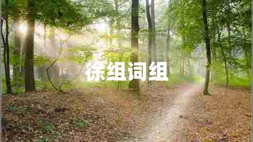徐組詞組