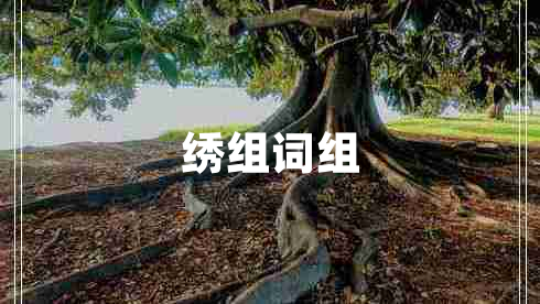 繡組詞組