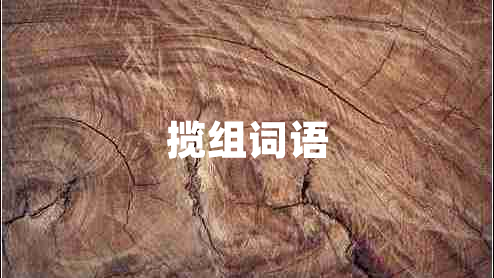 攬組詞語(yǔ)