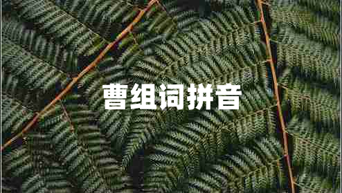 曹組詞拼音