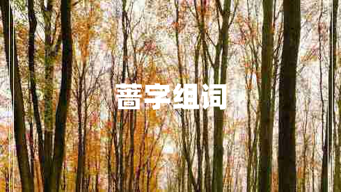 薔字組詞