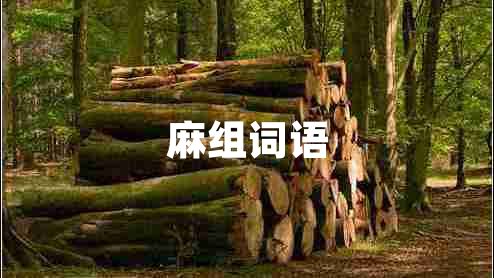 麻組詞語(yǔ)