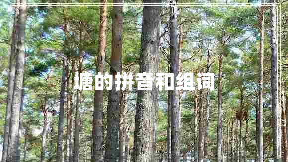 塘的拼音和組詞