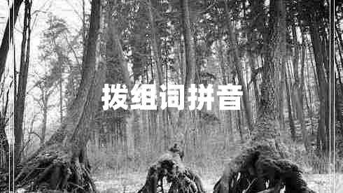 撥組詞拼音