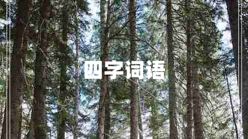 四字詞語(yǔ)