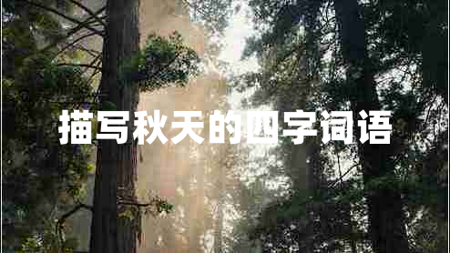 描寫(xiě)秋天的四字詞語(yǔ)