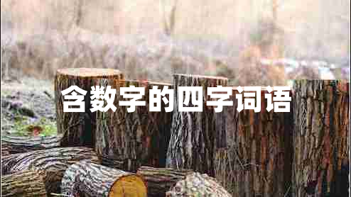 含數字的四字詞語(yǔ)