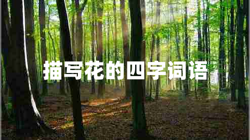 描寫(xiě)花的四字詞語(yǔ)